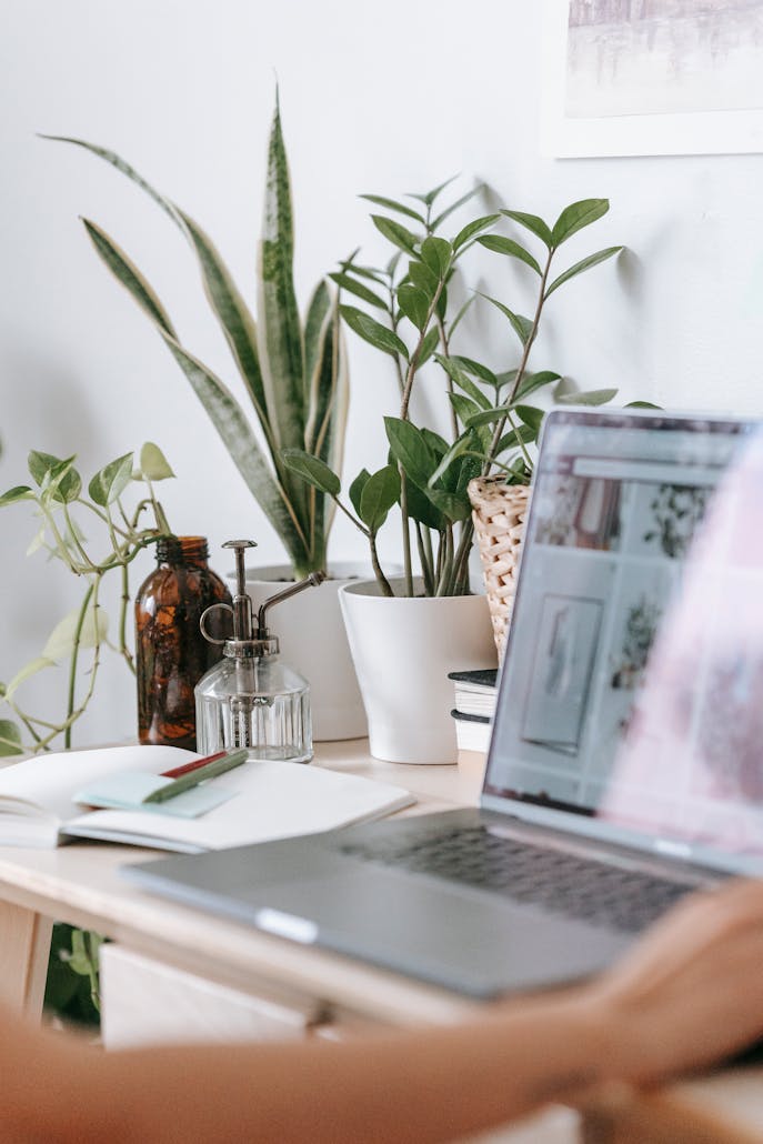 Modern home office setup with laptop, potted plants, and books on a desk.